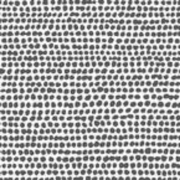 NEW Graham & Brown Dots Black White Wallpaper Polka Dot 104533 - Picture 1 of 7